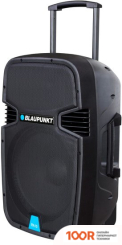 Беспроводная колонка Blaupunkt PA15 (10185)