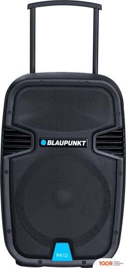 Беспроводная колонка Blaupunkt PA12 (10184)