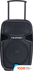 Беспроводная колонка Blaupunkt PA12 (10184)