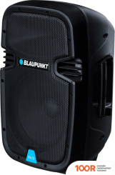 Беспроводная колонка Blaupunkt PA10 (10183)