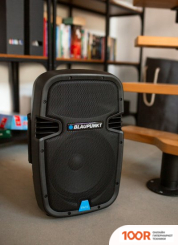 Беспроводная колонка Blaupunkt PA10 (10183)