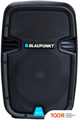 Беспроводная колонка Blaupunkt PA10 (10183)