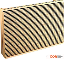 Беспроводная колонка Bang & Olufsen BEOSOUND LEVEL (ЗОЛОТИСТЫЙ/СВЕТЛЫЙ ДУБ) (10116)