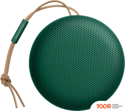 Беспроводная колонка Bang & Olufsen BEOSOUND A1 2ND GEN (ЗЕЛЕНЫЙ) (10095)