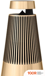Беспроводная колонка Bang & Olufsen BEOSOUND 2 3RD GEN (ЗОЛОТИСТЫЙ) (10092)