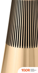 Беспроводная колонка Bang & Olufsen BEOSOUND 2 3RD GEN (ЗОЛОТИСТЫЙ) (10092)