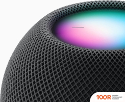 Беспроводная колонка Apple HOMEPOD MINI (СЕРЫЙ КОСМОС) (10055)