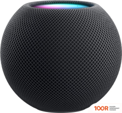 Беспроводная колонка Apple HOMEPOD MINI (СЕРЫЙ КОСМОС) (10055)