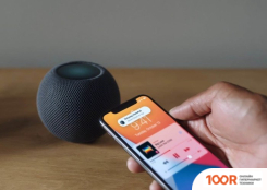 Беспроводная колонка Apple HOMEPOD MINI (СЕРЫЙ КОСМОС) (10055)