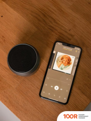 Беспроводная колонка AccesStyle FLINT BT (9938)