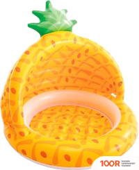 Бассейн Intex АНАНАС 58414 (102X94) (9631)