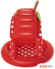 Бассейн Bestway ЯГОДКА 52387 (91Х91) (9576)