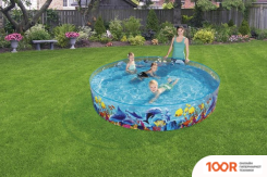 Бассейн Bestway 55031 (244X46) (9442)