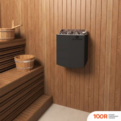 Банная печь Теплодар STEAMSIB 1 (9411)