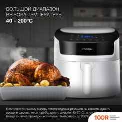 Аэрогриль / фритюрница Hyundai HYF-5459 (8903)