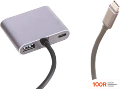 Хаб / Док-станция Perfeo USB TYPE-C 4IN1 PF-TYPE-C-10 (8177)