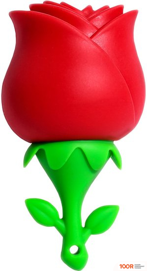 USB Flash SmartBuy WILD SERIES РОЗА 64GB (7642)