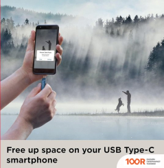 USB Flash SanDisk ULTRA DUAL DRIVE GO TYPE-C 128GB SDDDC3-128G-G46NB (7267)