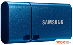 USB Flash Samsung USB TYPE-C 128GB (СИНИЙ) (7216)