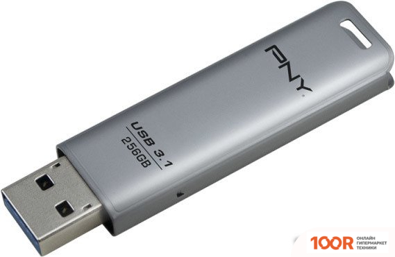 USB Flash PNY ELITE STEEL 3.1 256GB (СЕРЕБРИСТЫЙ) (7197)