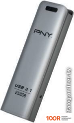 USB Flash PNY ELITE STEEL 3.1 256GB (СЕРЕБРИСТЫЙ) (7197)