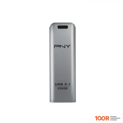 USB Flash PNY ELITE STEEL 3.1 256GB (СЕРЕБРИСТЫЙ) (7197)