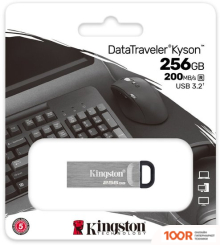 USB Flash Kingston KYSON 256GB (6691)