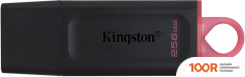 USB Flash Kingston EXODIA 256GB (6665)