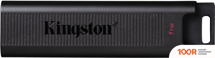USB Flash Kingston DATATRAVELER MAX TYPE-C 1TB (6646)