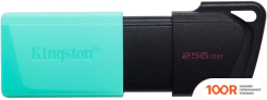 USB Flash Kingston DATATRAVELER EXODIA M 256GB (6635)
