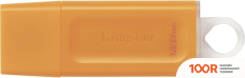 USB Flash Kingston DATATRAVELER EXODIA 128GB (ОРАНЖЕВЫЙ) (6632)