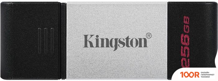 USB Flash Kingston DATATRAVELER 80 256GB (6621)