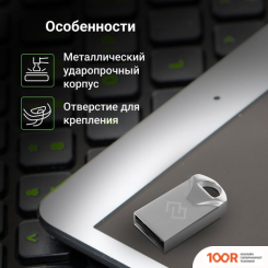 USB Flash Digma DRIVE 2 64GB DGFUM064A20SR (6450)