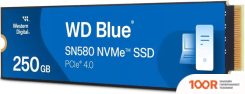 SSD WD BLUE SN580 250GB WDS250G3B0E (6237)