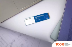 SSD WD BLUE SN570 1TB WDS100T3B0C (6231)