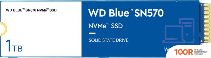 SSD WD BLUE SN570 1TB WDS100T3B0C (6231)