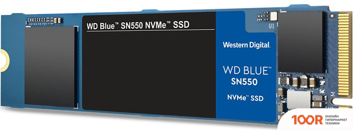 SSD WD BLUE SN550 NVME 1TB WDS100T2B0C (6227)
