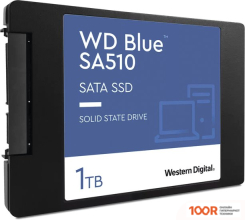 SSD WD BLUE SA510 1TB WDS100T3B0A (6220)