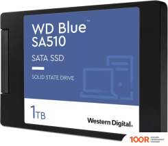SSD WD BLUE SA510 1TB WDS100T3B0A (6220)