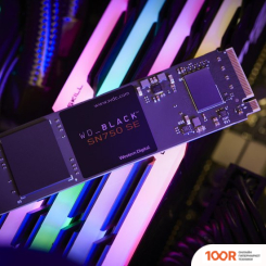 SSD WD BLACK SN750 SE 500GB WDS500G1B0E (6189)