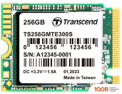 SSD Transcend 300S 256GB TS256GMTE300S (6130)