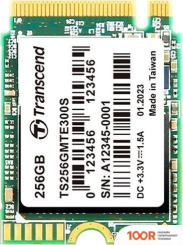 SSD Transcend 300S 256GB TS256GMTE300S (6130)