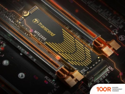 SSD Transcend 250S 4TB TS4TMTE250S (6129)