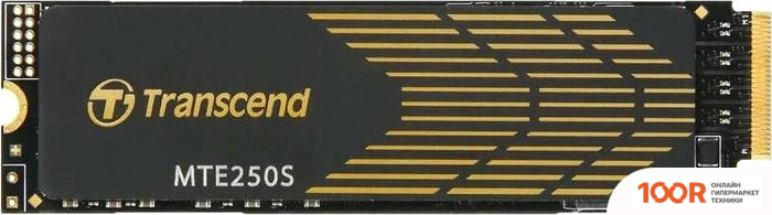 SSD Transcend 250S 1TB TS1TMTE250S (6127)