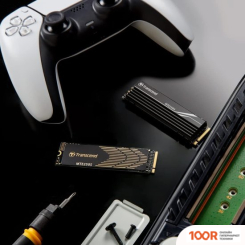 SSD Transcend 250H 4TB TS4TMTE250H (6126)