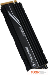 SSD Transcend 250H 2TB TS2TMTE250H (6125)
