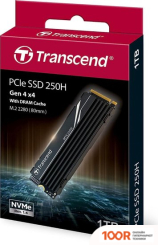 SSD Transcend 250H 1TB TS1TMTE250H (6124)