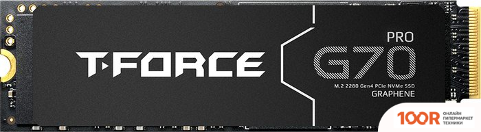 SSD Team T-FORCE G70 PRO 4TB TM8FFH004T0C129 (6076)