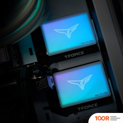 SSD Team T-FORCE DELTA MAX RGB LITE WHITE EDITION 512GB T253TM512G0C425 (6068)
