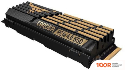 SSD Team T-FORCE CARDEA A440 1TB TM8FPZ001T0C327 (6036)